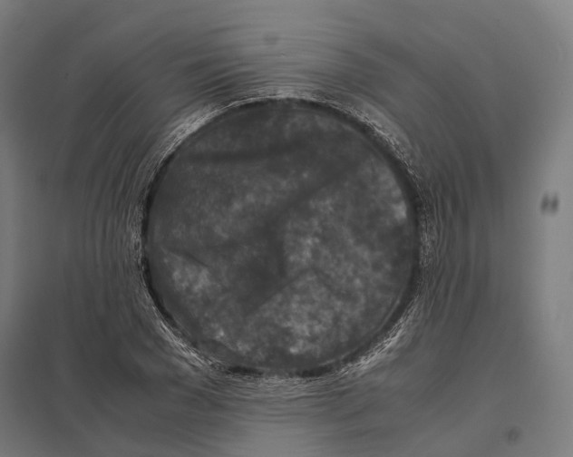 X0000097600977200803280947