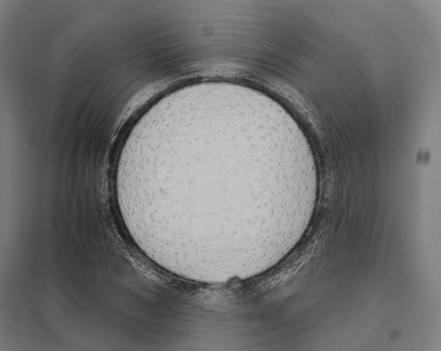 X0000097600978200803280947