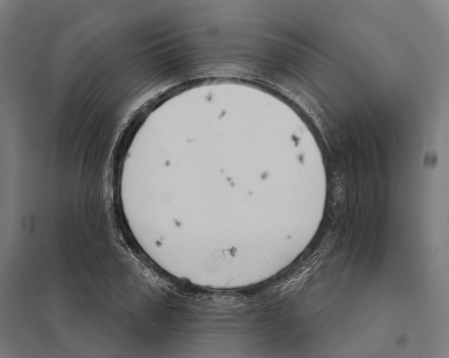 X0000097600979200803280947