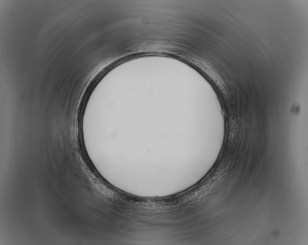 X0000097600980200803280947