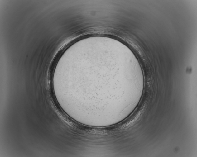 X0000097600981200803280947