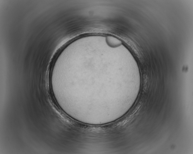 X0000097600982200803280947