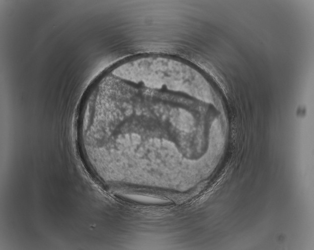 X0000097600983200803280947