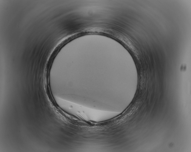 X0000097600984200803280947