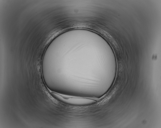 X0000097600985200803280947