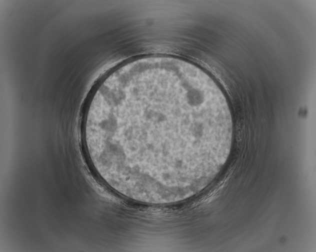 X0000097600987200803280947