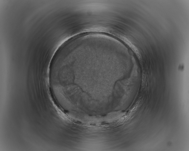 X0000097600988200803280947