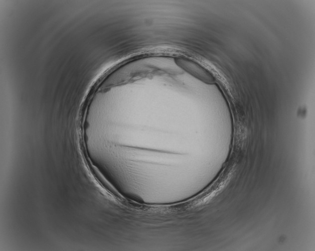 X0000097600989200803280947