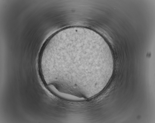 X0000097600991200803280947