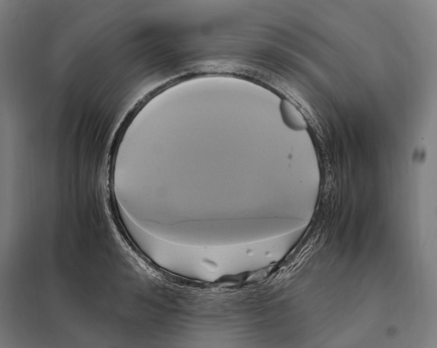 X0000097600992200803280947