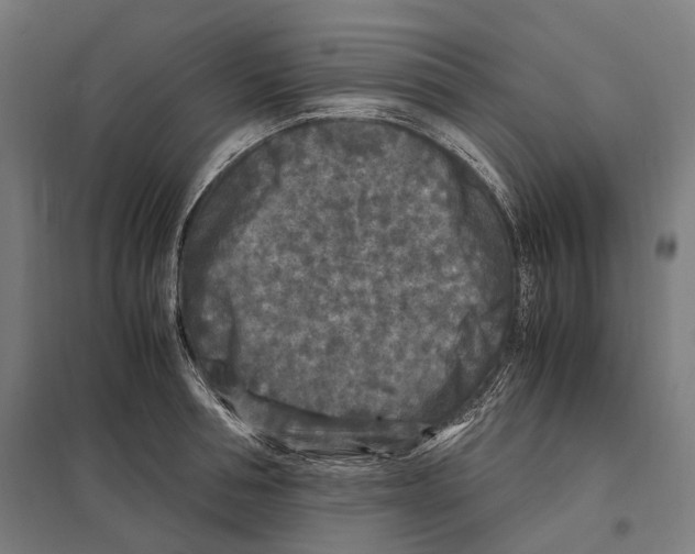 X0000097600994200803280946