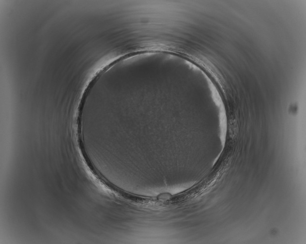 X0000097600995200803280946