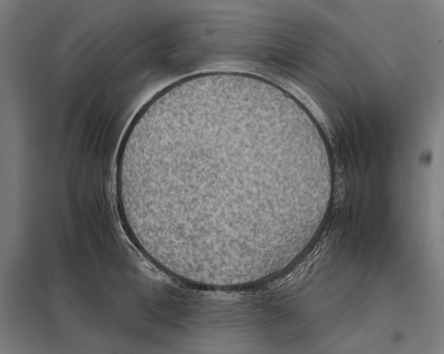 X0000097600996200803280946