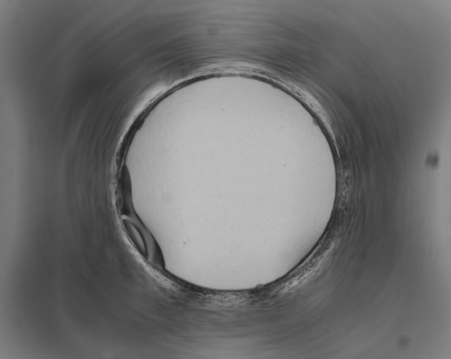 X0000097600997200803280946