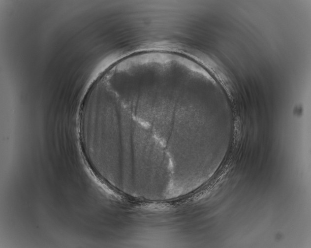 X0000097600998200803280946