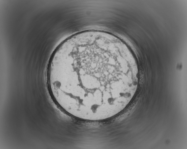 X0000097600999200803280946