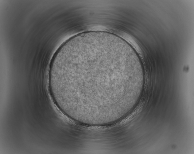 X0000097601000200803280946