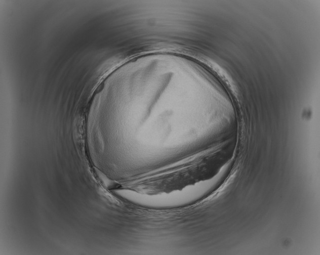 X0000097601001200803280946