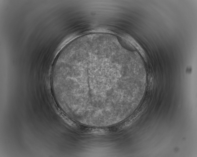 X0000097601002200803280946