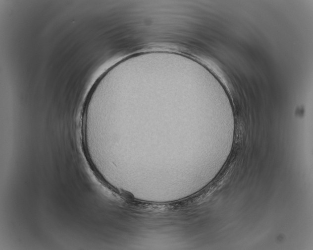 X0000097601003200803280946