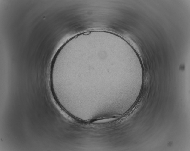 X0000097601005200803280946