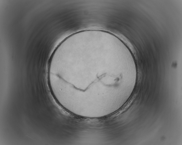 X0000097601006200803280946