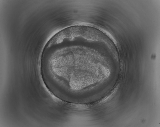 X0000097601007200803280946