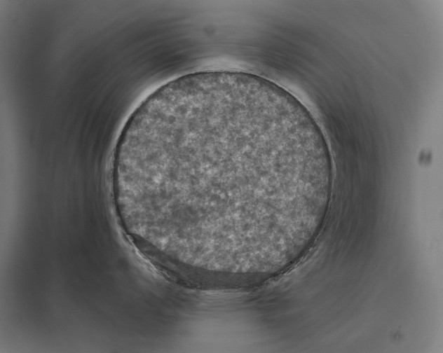 X0000097601008200803280946