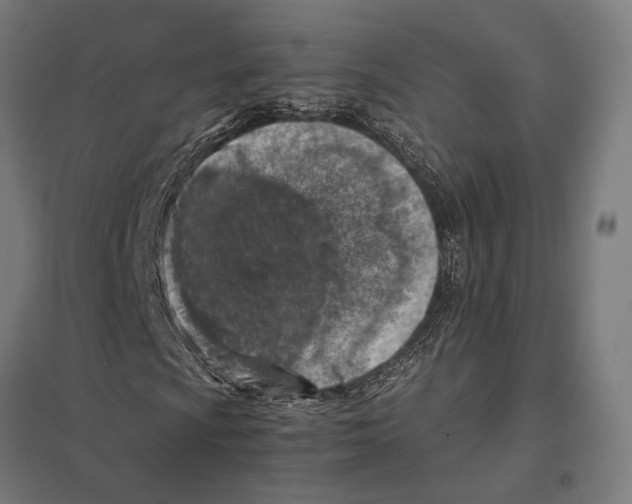 X0000097601009200803280945