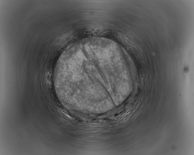 X0000097601010200803280945