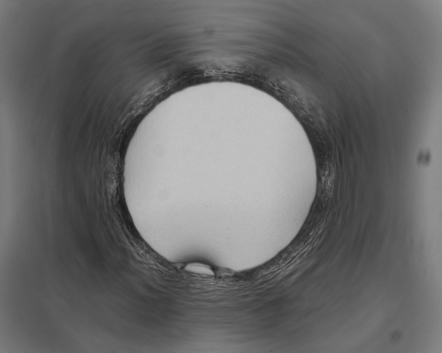 X0000097601012200803280945