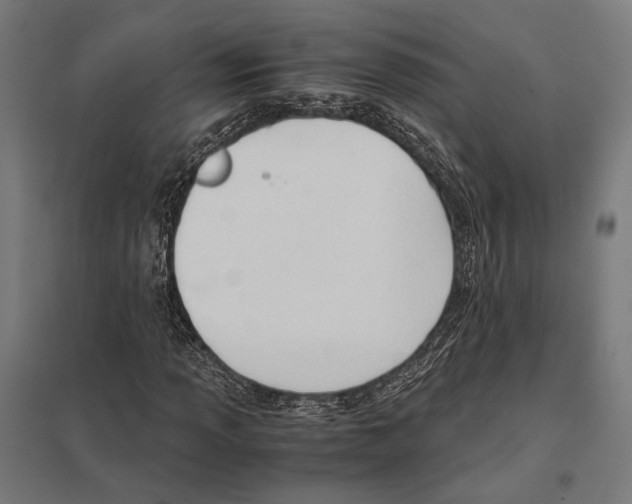 X0000097601013200803280946