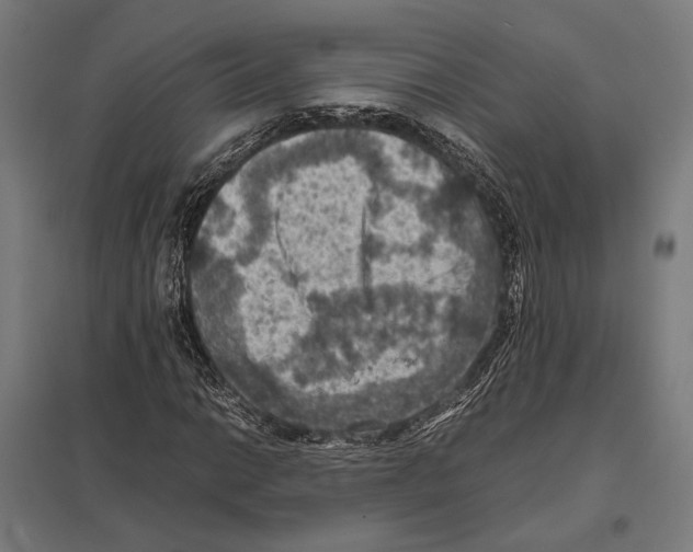 X0000097601014200803280946