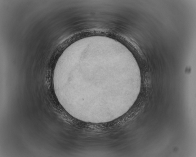 X0000097601015200803280946