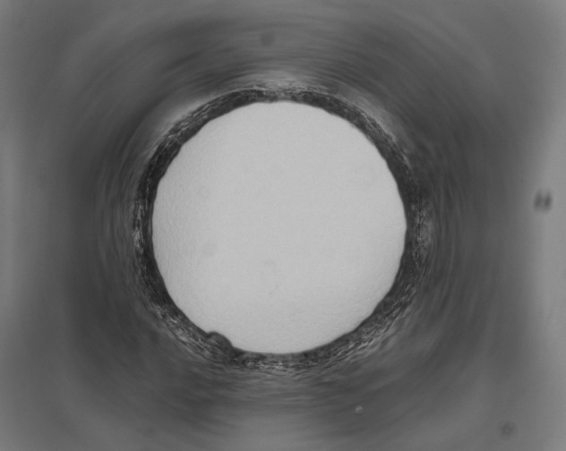 X0000097601016200803280946