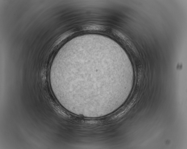 X0000097601017200803280946