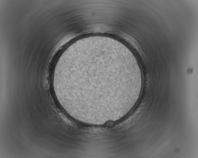 X0000097601018200803280946