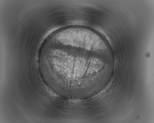 X0000097601019200803280946