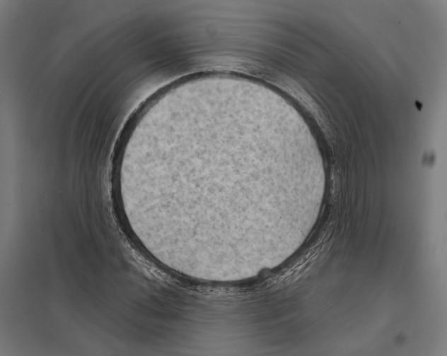 X0000097601020200803280946