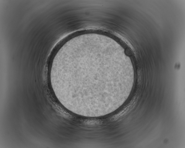 X0000097601021200803280946