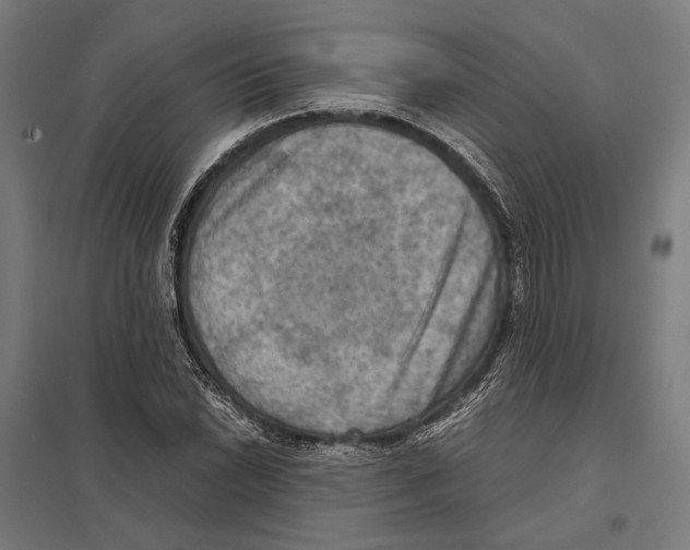 X0000097601022200803280946