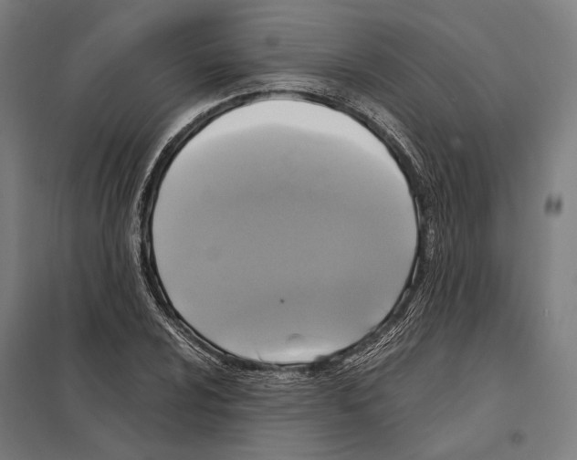 X0000097601024200803280946