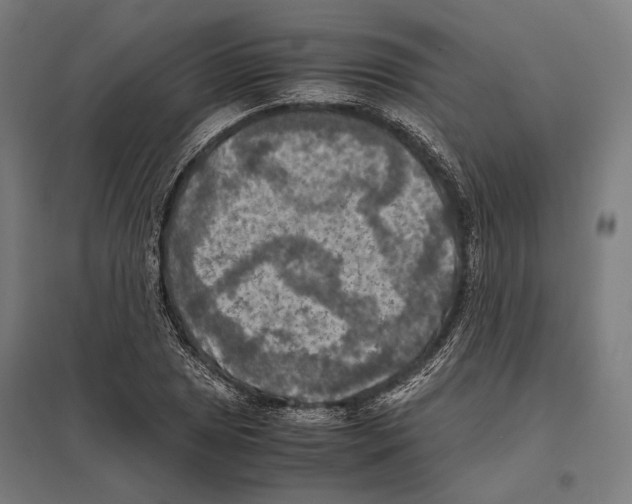 X0000097601025200803280946