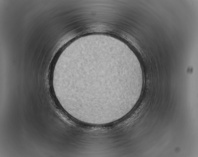 X0000097601026200803280946