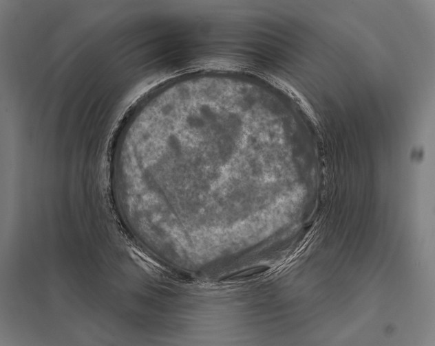 X0000097601027200803280946