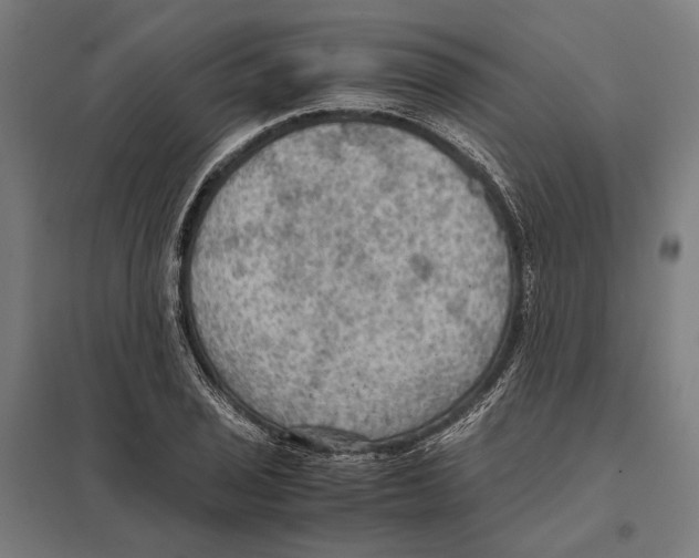 X0000097601029200803280946