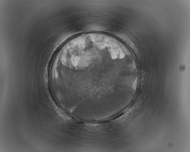 X0000097601031200803280946