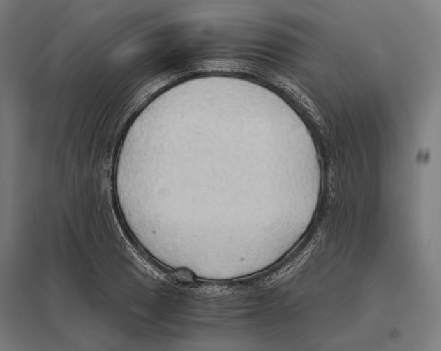 X0000097601033200803280946