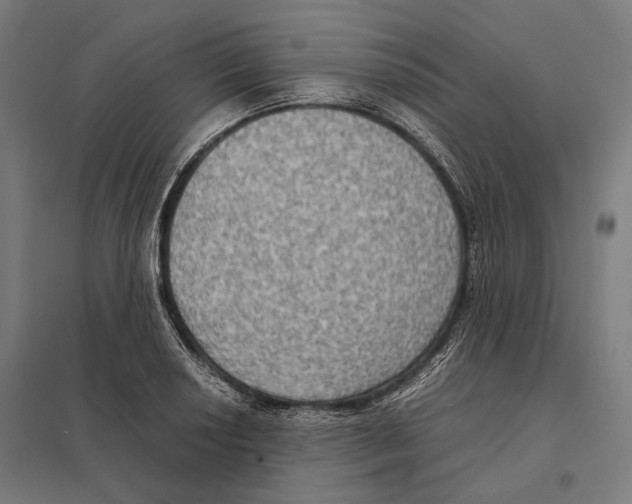 X0000097601034200803280946