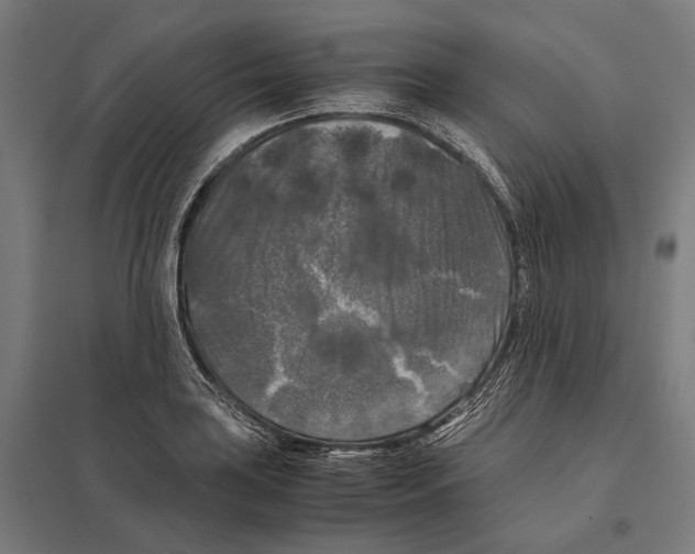 X0000097601035200803280946